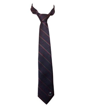 MCKINNON TIE