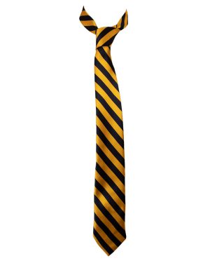 MENTONE GG YEAR 12 TIE DNO