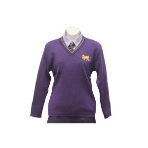 Wesley College P-12 Pullover