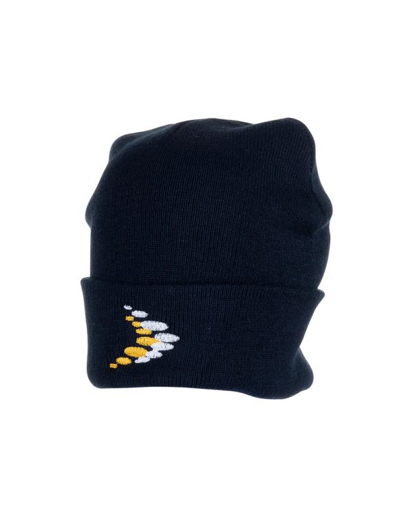 Carrum DSC Beanie