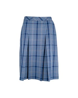 Carrum DSC Skirt