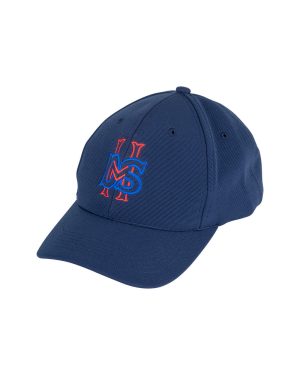 Dandenong HS Baseball Cap