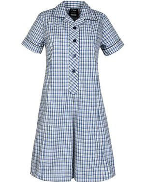 VERMONT SEC Z CHECK DRESS