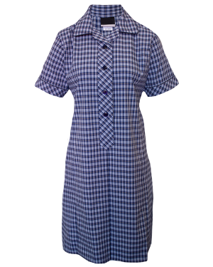 BOX HILL HIGH DRESS